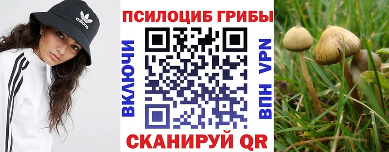 Псилоцибиновые грибы мицелий  Новый Оскол 